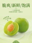 Sweet and Sour Crispy Dried Green Plums 200g