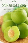 Sweet and Sour Crispy Dried Green Plums 200g