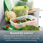 FridgeSmart 5pc Storage Set for Kitchen Organization