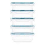 10-Piece BPA-Free Meal Prep Container Set