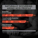 Rule One R1 Whey Isolate Protein Powder