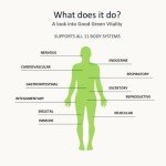 Nuzest Good Green Vitality Superfood Greens Powder