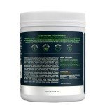 Nuzest Good Green Vitality Superfood Greens Powder