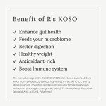3-Day KOSO Cleanse: Probiotic-Enzyme Detox Drink