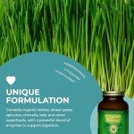 HealthForce Green Mush Powder - 10 Oz