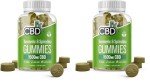 High Strength CBD Vegan Turmeric & Spirulina Gummies