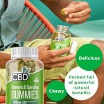 High Strength CBD Vegan Turmeric & Spirulina Gummies