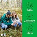 High Strength CBD Vegan Turmeric & Spirulina Gummies