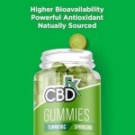 High Strength CBD Vegan Turmeric & Spirulina Gummies
