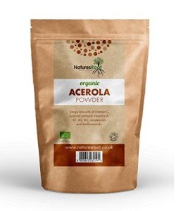 Nature's Root Organic Acerola Cherry Vitamin C Powder