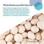 Immune Support Mushrooms with Beta Glucans