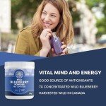 Vimergy Blueberry Powder - 62 Servings - Vegan