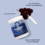 Vimergy Blueberry Powder - 62 Servings - Vegan
