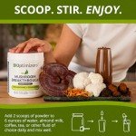 Chocolicious Mushroom Blend Nootropic Supplement - 30 Servings