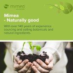 Mimea Kelp Powder - 5kg Natural Weight Loss助剂