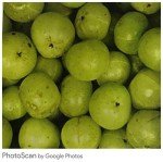 Organic Amla Powder - 1000g Superfood Boost