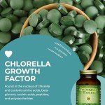 Chlorella Manna Vegan Tablets - 400 Count