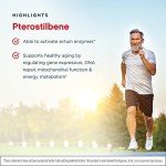 Jarrow Formulas trans-Pterostilbene, 50mg, 120 Capsules