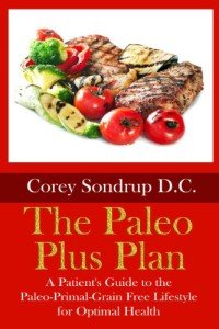 Paleo Plus Plan: Your Guide to Optimal Health