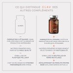 Vegan Metabolism Boosting Multivitamins - 60 Capsules