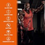 Scitec Nutrition Jumbo Hardcore High Protein Weight Gainer