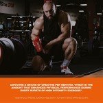 Scitec Nutrition Jumbo Hardcore High Protein Weight Gainer