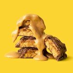 FITCRUNCH Protein Bars by Robert Irvine - Variety Pack