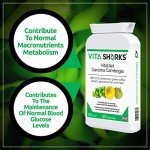Garcinia Cambogia & Green Coffee Extract for Weight Loss