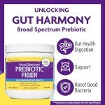 InnovixLabs Vegan Prebiotic for Gut Health, 30 Servings