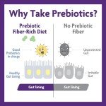 InnovixLabs Vegan Prebiotic for Gut Health, 30 Servings