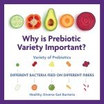 InnovixLabs Vegan Prebiotic for Gut Health, 30 Servings