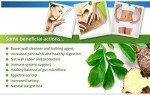 VitaDiet Fiber Powder with Psyllium Husk for Weight Loss