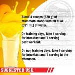 Mammoth Mass High-Calorie Weight Gainer Powder - Vanilla
