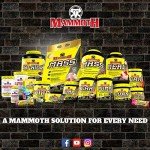 Mammoth Mass High-Calorie Weight Gainer Powder - Vanilla