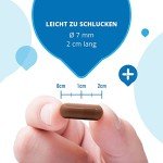 Penoxal 50mg Capsules for Immune Support
