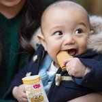 Kiddylicious Apple Biscotti - Healthy Kid Snacks