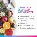 Natural Thyroid Support for Metabolism & Energy