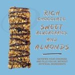 Ready CLEAN Dark Chocolate Blueberry Protein Bars - 12 Pack