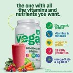 Vega One Plant Protein Shake - French Vanilla