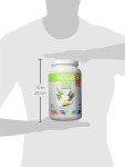 Vega One Plant Protein Shake - French Vanilla
