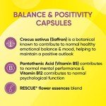 Mood Boosting Vegan Capsules for Emotional Balance