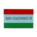 Sun Chlorella A Tablets - 1500 Count