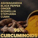 Fermented Turmeric Supplement with Adaptogens and Bitters