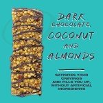 Dark Chocolate Coconut Almond Protein Bar, 12 Pack