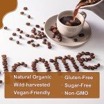 Mushroom Coffee Blend for Energy and Focus