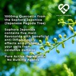 Quercetin & Bromelain Antioxidant Supplement - 60 Capsules