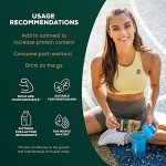 Vegan Protein Shake with Superfoods – Hazelnut Flavor