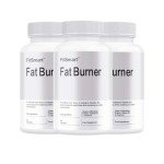 Fitsmart Fat Burner for Healthy Weight Loss – 60 Capsules