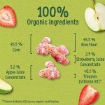 Organic Strawberry & Apple Puffcorn Snack Multipack