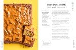 Pinch of Nom Express: Quick, Tasty Recipes